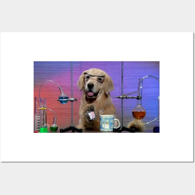 I have no idea what I'm doing dog Wall Art by FlashmanBiscuit